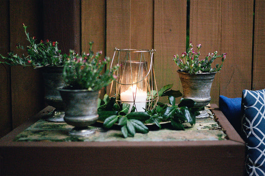 Aromatherapy Oasis