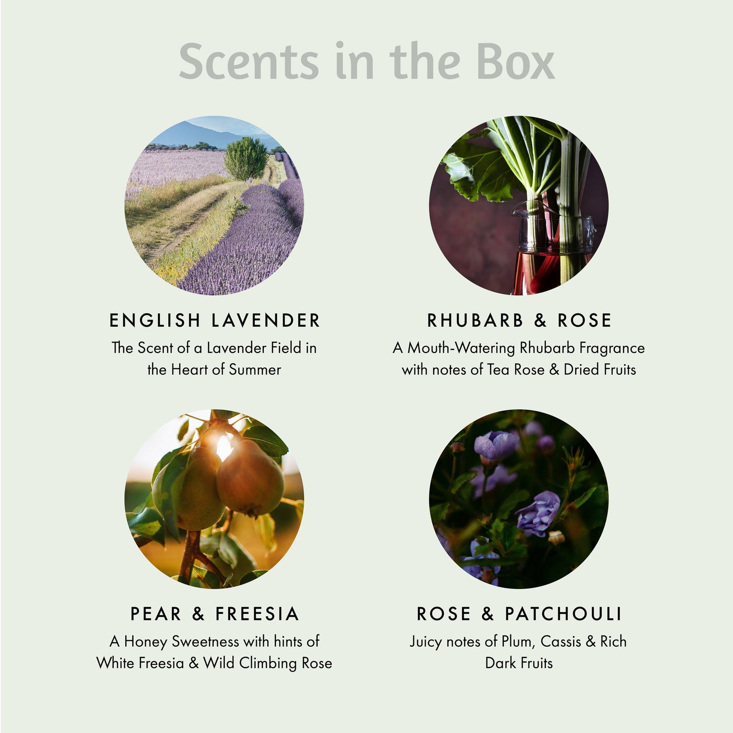 Floral Scented Candle Gift Set with 8 Wax Melts