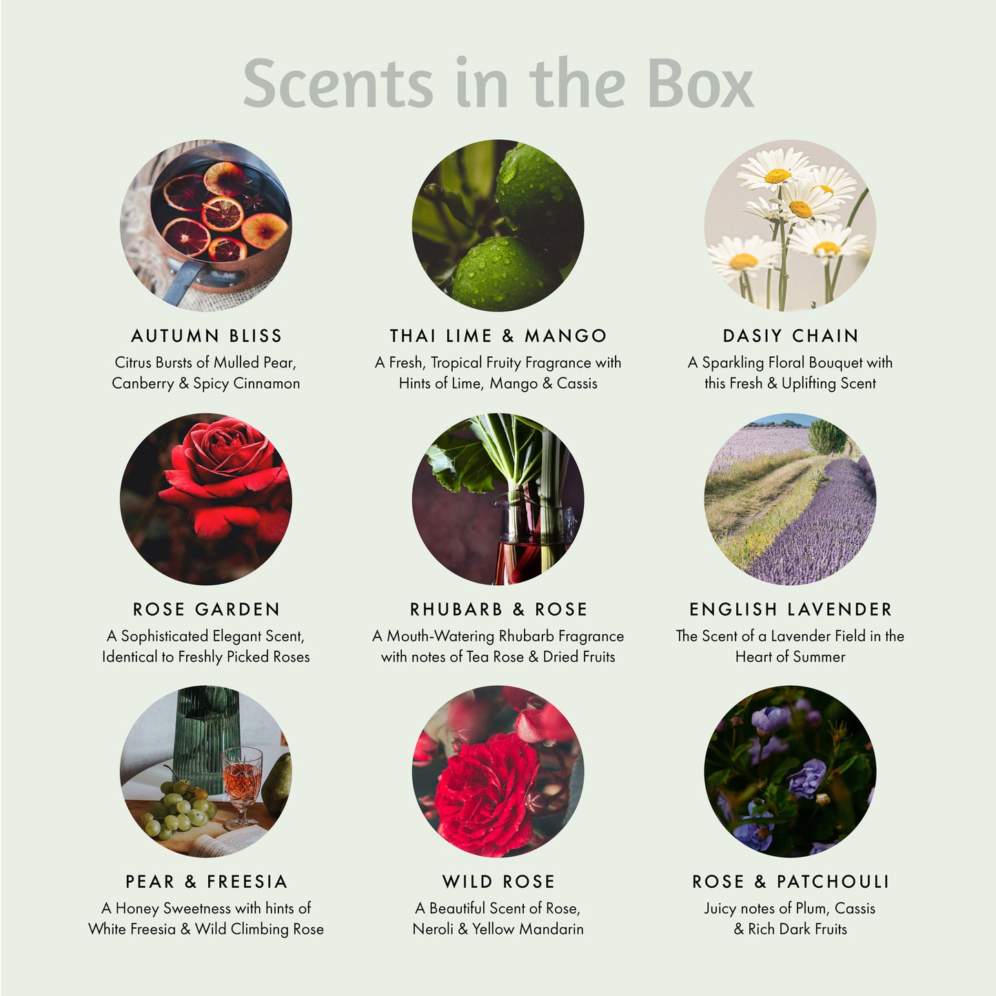 Secret Garden Candle Gift Set