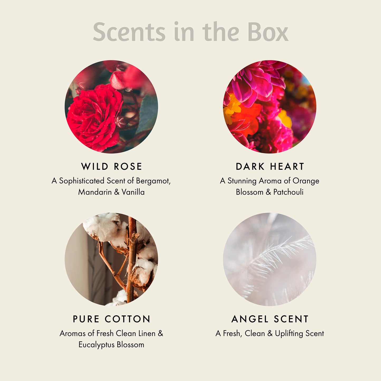 I Love You Perfume Scented Candle Gift Set with 8 Wax Melts